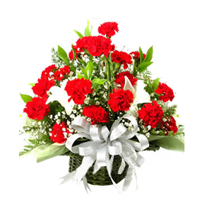 鲜花/美丽季节:红色康乃馨36朵 白色百合2朵 配材： 满天星 绿叶
