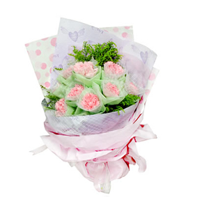 鲜花/祝愿相伴:9支粉色康乃馨
包 装:康乃馨内用网纱外用淡绿色棉