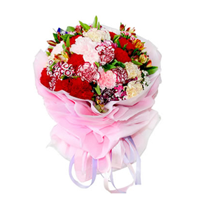 鲜花/幽幽情深 :21支各色康乃馨，
包 装:粉色棉纸多层圆形精美包