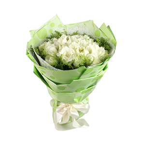 鲜花/喜欢你没道理:19枝白玫瑰 配材：黄莺，绿叶围边
花 语:就是爱