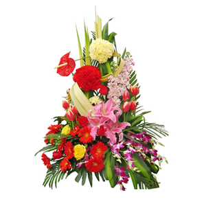 鲜花/祝福永相伴:粉色百合、红色太阳花、红色郁金香、红色和黄色康乃馨，