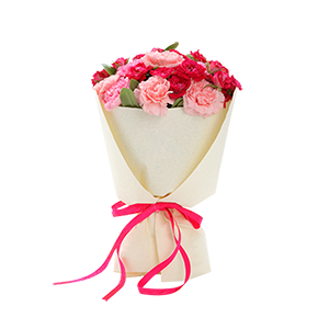 鲜花/天天开心:21枝多色康乃馨（包括粉色,桃红色）
花 语:祝您