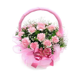 鲜花/祝福永远:28枝粉色康乃馨
包 装:圆形花篮，粉色网纱装饰，