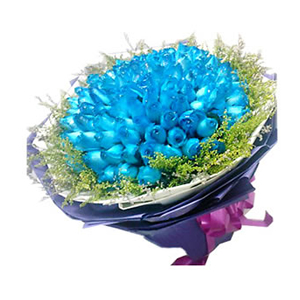 鲜花/蓝色海洋:99只蓝色妖姬
包 装:白色和深紫色皱纹纸圆形包装