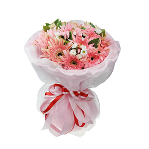 鲜花/粉红记忆  :19枝粉色扶郎，白色小菊点缀，栀子叶丰满。
包 装