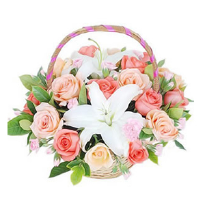 鲜花/欢乐时光:粉玫瑰9枝，香槟玫瑰9枝，多头香水百合1枝 配材：栀