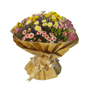 鲜花/大城小爱 :各色小雏菊（因属特殊花材，需提前三天以上预订）
包