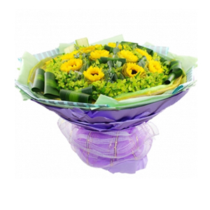 鲜花/漫天祝福 :10支向日葵，绿色、金色2层纱网独立包装。
包 装