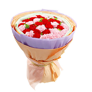 鲜花/温馨的祝福:20枝粉色康乃馨，20枝红色康乃馨
包 装:绿色学
