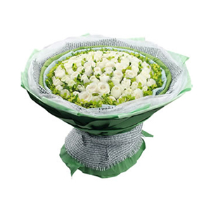 鲜花/爱意永恒:66支白玫瑰
包 装:白圆点的浅蓝色、绿色棉纸围边