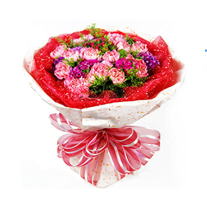 鲜花/真心祝福:21枝粉色康乃馨
包 装:红色纱网、乳白色花点纸圆