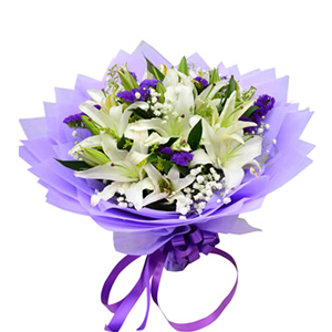 鲜花/百年好合:6枝白色多头香水百合
包 装:紫色棉纸包装，紫色丝