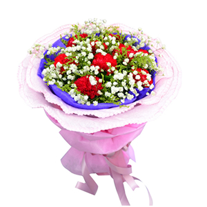 鲜花/我的祝福:9枝红色康乃馨
包 装:紫色棉纸内衬，粉色卷边纸多