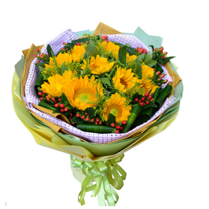 鲜花/面朝阳光:11枝向日葵
包 装:淡紫色麻网内衬，黄色、绿色手