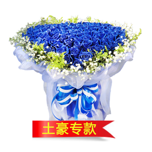 鲜花/偷不走的爱:99枝蓝色妖姬
包 装:蓝色皱纹纸内衬、外围白色纱