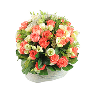 鲜花/甜蜜祝愿:40枝粉玫瑰
包 装:圆形提篮插花
