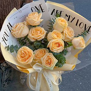 鲜花/香槟轻语:11支香槟玫瑰
花 语:把生活的甜，都藏在这束温柔