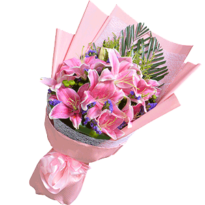 鲜花/粉色的秘密:11枝粉色百合+高级配草
花 语:粉色的秘密