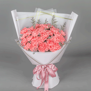 鲜花/永恒的关爱:19枝粉色康乃馨
花 语:母亲的爱是永恒的，她是一
