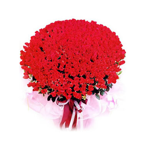 鲜花/花儿为谁红:红玫瑰999枝
包 装:粉红色皱纸,丝棉纸呈精致的