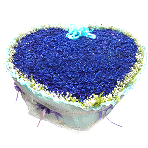 鲜花/我们结婚吧:999支蓝色妖姬。 配材：满天星、黄英围边
花 语